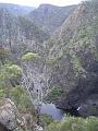 Gorge, Dangar Falls IMGP0724